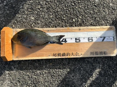 川端渡船の2026年1月8日(木)2枚目の写真