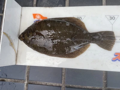 中野一渡船の2025年12月27日(土)2枚目の写真