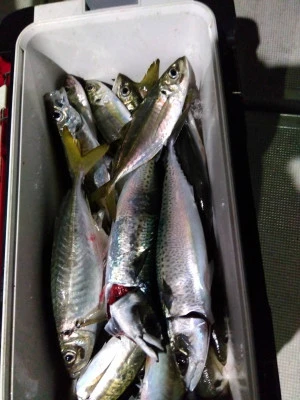 優幸丸の2026年1月9日(金)1枚目の写真