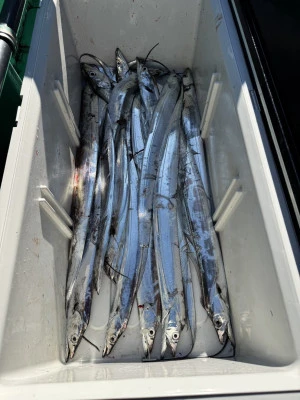 日正丸の2026年1月10日(土)5枚目の写真