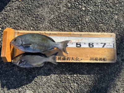 川端渡船の2026年1月10日(土)1枚目の写真