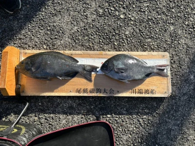 川端渡船の2026年1月10日(土)2枚目の写真