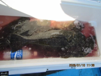 大洗丸の2026年1月10日(土)5枚目の写真