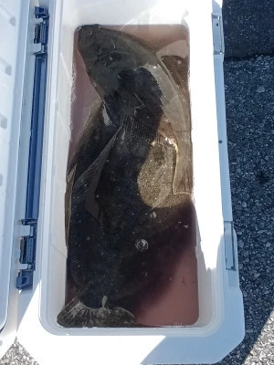 孝徳丸の2026年1月10日(土)2枚目の写真