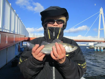 尼崎市立魚つり公園の2026年1月11日(日)1枚目の写真