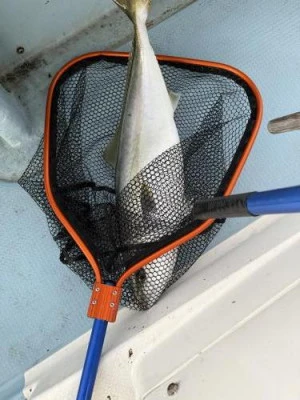 菜々海IIの2026年1月11日(日)3枚目の写真