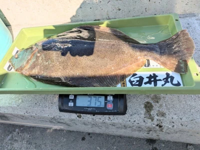 臼井丸の2026年1月9日(金)5枚目の写真