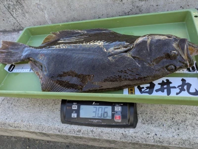 臼井丸の2026年1月10日(土)3枚目の写真