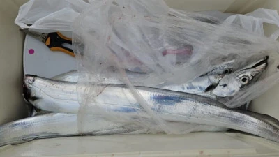 海斗の2025年12月27日(土)4枚目の写真