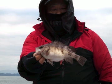 五郎丸の2026年1月4日(日)2枚目の写真