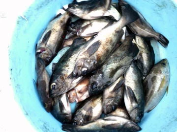 五郎丸の2026年1月4日(日)3枚目の写真