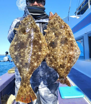 春栄丸の2026年1月12日(月)1枚目の写真