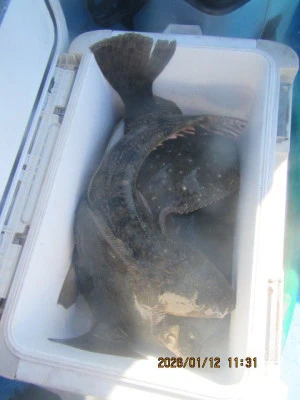 大洗丸の2026年1月12日(月)4枚目の写真