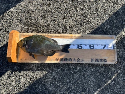 川端渡船の2026年1月12日(月)1枚目の写真