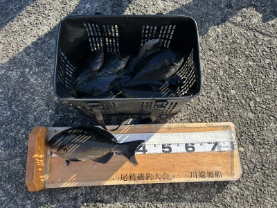 川端渡船の2026年1月12日(月)2枚目の写真