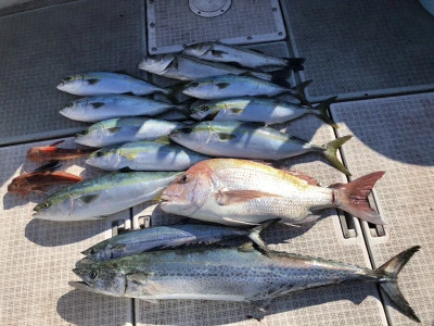 ARCADIA SALTWATER SERVICEの2026年1月12日(月)5枚目の写真