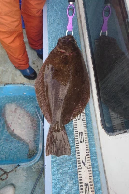 釣り船 秀進丸の2026年1月13日(火)4枚目の写真