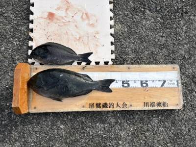 川端渡船の2026年1月15日(木)1枚目の写真