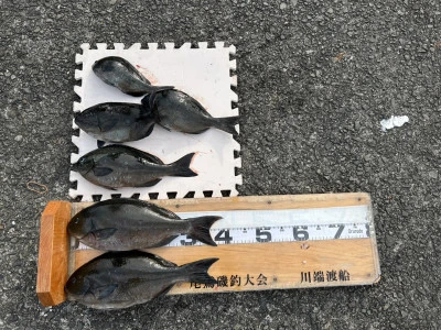 川端渡船の2026年1月15日(木)2枚目の写真