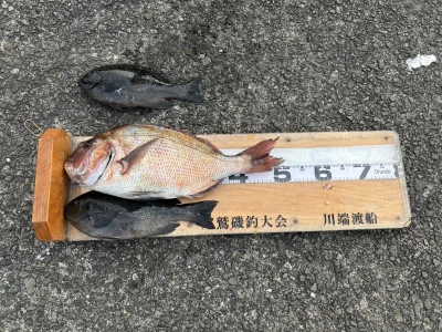 川端渡船の2026年1月15日(木)3枚目の写真