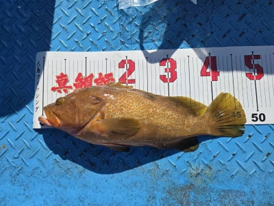 愛晃丸フィッシングの2026年1月10日(土)1枚目の写真