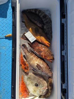 愛晃丸フィッシングの2026年1月10日(土)2枚目の写真