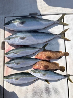 竜洞丸の2026年1月16日(金)1枚目の写真