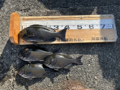 川端渡船の2026年1月16日(金)1枚目の写真