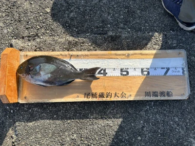 川端渡船の2026年1月16日(金)2枚目の写真