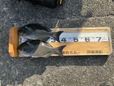 川端渡船の2026年1月16日(金)3枚目の写真