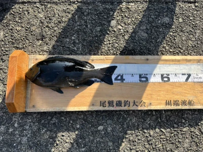 川端渡船の2026年1月17日(土)1枚目の写真