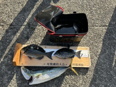 川端渡船の2026年1月17日(土)2枚目の写真