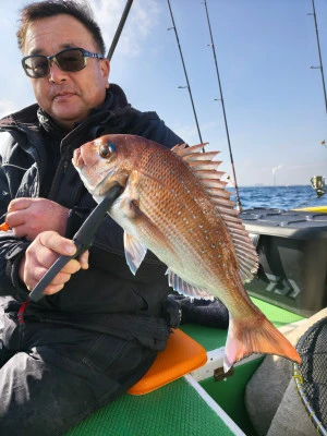 豊丸の2026年1月17日(土)2枚目の写真