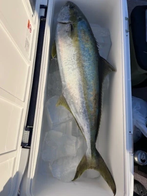 あみや渡船の2026年1月17日(土)3枚目の写真