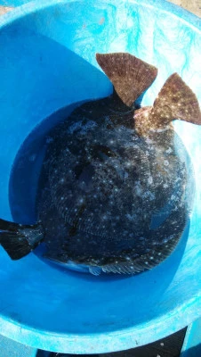 家田丸の2026年1月18日(日)3枚目の写真