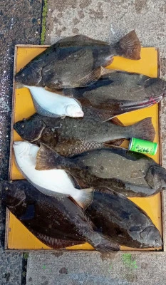 大盛丸の2026年1月18日(日)3枚目の写真