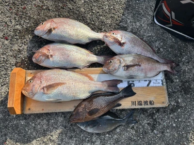 川端渡船の2026年1月18日(日)1枚目の写真