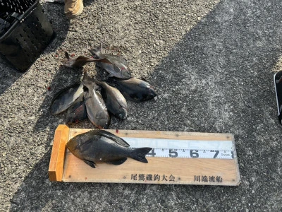 川端渡船の2026年1月18日(日)2枚目の写真