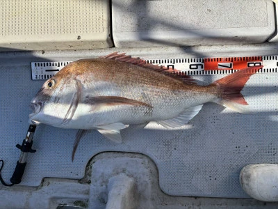 遊漁船響の2026年1月15日(木)3枚目の写真