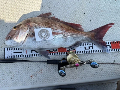 遊漁船響の2026年1月16日(金)2枚目の写真