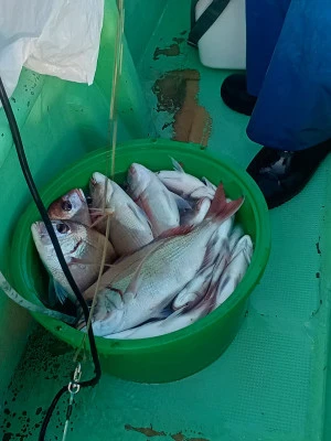 孝徳丸の2026年1月18日(日)3枚目の写真