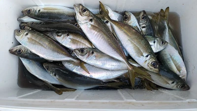 石田丸の2026年1月19日(月)1枚目の写真