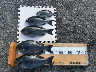 川端渡船の2026年1月19日(月)2枚目の写真