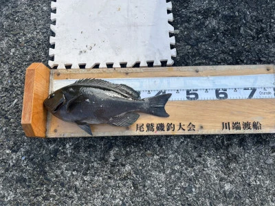 川端渡船の2026年1月19日(月)3枚目の写真