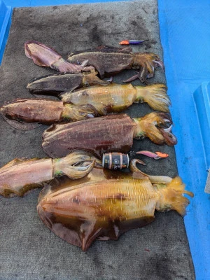 日正丸の2026年1月19日(月)2枚目の写真