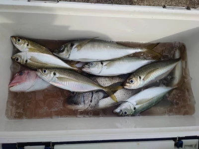 釣船 五郎丸の2026年1月20日(火)4枚目の写真