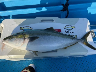 愛晃丸フィッシングの2026年1月18日(日)1枚目の写真