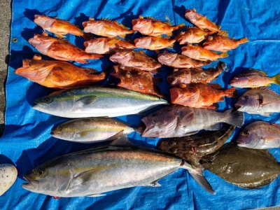 裕徳丸の2026年1月17日(土)1枚目の写真