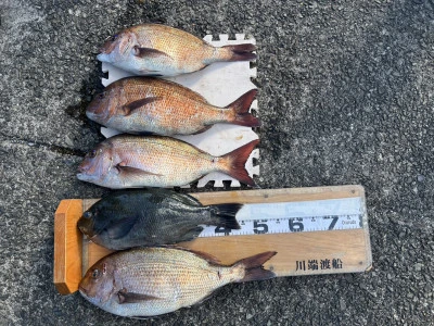 川端渡船の2026年1月21日(水)1枚目の写真