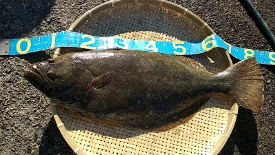 石田丸の2026年1月23日(金)1枚目の写真